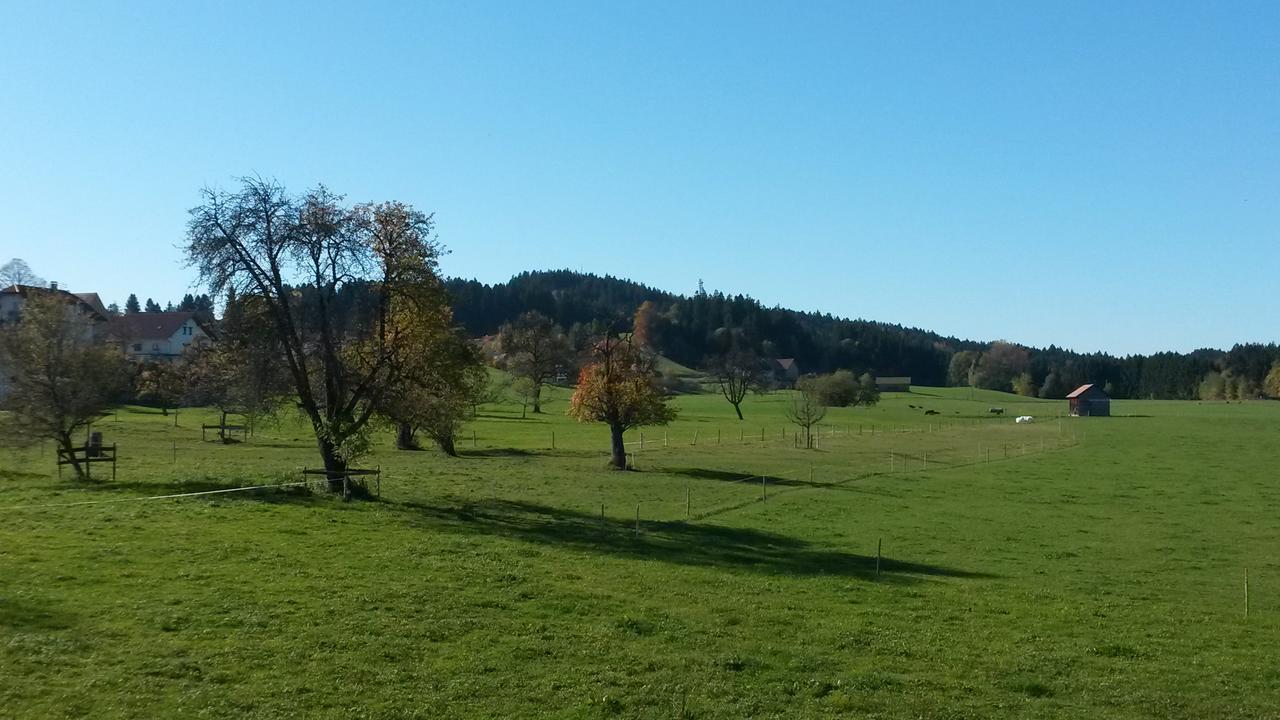 Herzberger Ferienwohnungen Scheidegg Zewnętrze zdjęcie